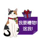 Meow Le！クリスマス！（個別スタンプ：23）