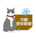 Meow Le！クリスマス！（個別スタンプ：27）