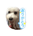 ウタの日常スタンプ（個別スタンプ：6）