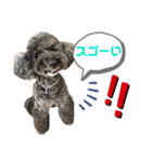 Noelスタンプ！！4（個別スタンプ：2）