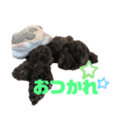 Noelスタンプ！！4（個別スタンプ：5）