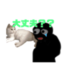 いえにいるねこ（個別スタンプ：4）