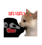 いえにいるねこ（個別スタンプ：10）