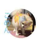 ぎんちゃんとかえちゃん（個別スタンプ：4）