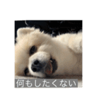 ぎんちゃんとかえちゃん（個別スタンプ：6）