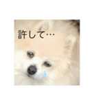 ぎんちゃんとかえちゃん（個別スタンプ：13）