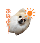 ぎんちゃんとかえちゃん（個別スタンプ：14）