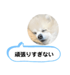 ぎんちゃんとかえちゃん（個別スタンプ：28）