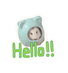 我が家のアニマルず（個別スタンプ：9）