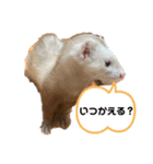 フィリップのスタンプ①（個別スタンプ：1）