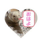 フィリップのスタンプ①（個別スタンプ：4）