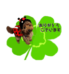 こてつでーす！（個別スタンプ：2）