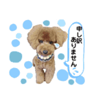 こてつでーす！（個別スタンプ：3）