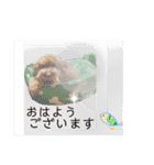 こてつでーす！（個別スタンプ：4）