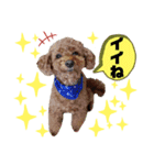こてつでーす！（個別スタンプ：6）