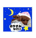 こてつでーす！（個別スタンプ：8）