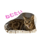 リトちゃんとジュニア（個別スタンプ：2）