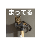 リトちゃんとジュニア（個別スタンプ：4）