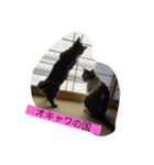 リトちゃんとジュニア（個別スタンプ：5）