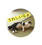 リトちゃんとジュニア（個別スタンプ：8）