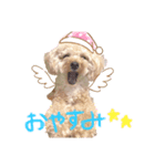 渡邉家のろくたん✿*:♡（個別スタンプ：1）