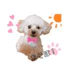 渡邉家のろくたん✿*:♡（個別スタンプ：2）