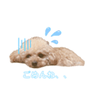 渡邉家のろくたん✿*:♡（個別スタンプ：4）