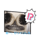 私、かぼす（個別スタンプ：14）