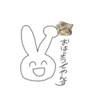 ちなうさぎなんよな（個別スタンプ：13）