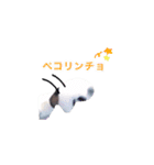 割と使える！零の如くオリジナルスタンプ（個別スタンプ：8）