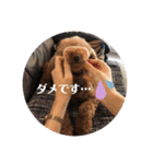 ベニちゃん①（個別スタンプ：6）
