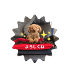 ベニちゃん①（個別スタンプ：7）