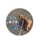 ベニちゃん①（個別スタンプ：8）