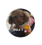 ベニちゃん①（個別スタンプ：9）