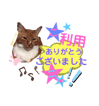 スピ猫ミィコ（個別スタンプ：10）