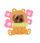 キョンだよ。（個別スタンプ：2）