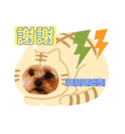 キョンだよ。（個別スタンプ：5）
