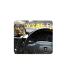 車スタンプ♫（個別スタンプ：6）