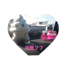 車スタンプ♫（個別スタンプ：10）