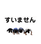 AグロKね翔 拡張版（個別スタンプ：25）