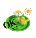 セキセイインコぴっぴとぽっぽ①（個別スタンプ：11）