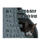 悪態つきます！キジ白キャットの塩対応（個別スタンプ：23）