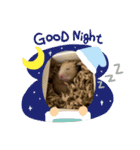 キンクマハムスターころも（個別スタンプ：2）