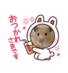 キンクマハムスターころも（個別スタンプ：3）