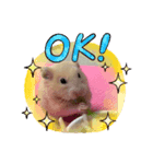 キンクマハムスターころも（個別スタンプ：4）