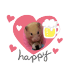 キンクマハムスターころも（個別スタンプ：5）