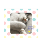都子とおこちゃんの日常語No.2（個別スタンプ：7）