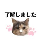 ♡もにゃスタンプvol.3♡（個別スタンプ：1）