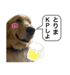 ゴールデンレトリバーのすばるくん❷（個別スタンプ：6）