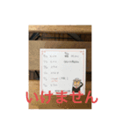 いけません。‼️（個別スタンプ：1）